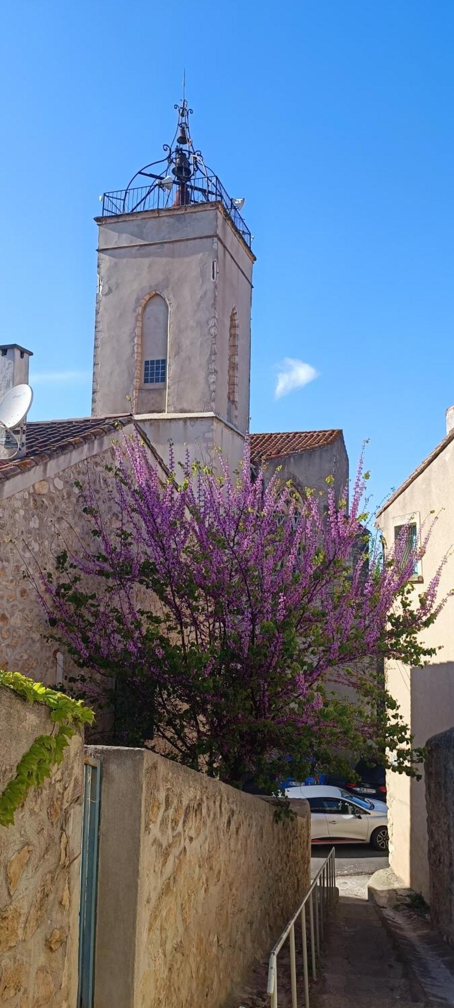 Gite La Capelle Roquefort Des Corbieres Sigean Narbonne Aude 외부 사진